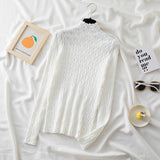 Warm Slim Cashmere Sweater Knitted Tops Autumn Winter Pullover Turtleneck Women Sweaters Jumper Solid Soft Pull Femme