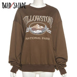 Bold Shade Indie Goblincore Aesthetic Sweatshirt Letter Graphic Embroidery Streetwear 90s Hoodies Grunge Fashion Women Loose