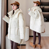 2024 Winter New Korean Department Is Simple And Versatile Casual Loose Small Thick Warm Hooded Padded Coat-Outfit