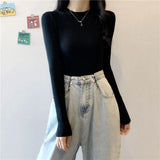 Turtleneck Sweater Winter Pullover Knitted Basic Top Elastic Fall Slim Ladies Jumper Casual Long Sleeve Female Sweater-Outfit
