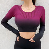 New Women's Fitness T-Shirt Sport Crop Top Long Sleeve Layer Crew Neck Power Stretch Gradual Crop Top Sexy Gym