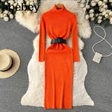Autumn Winter Women Knitted Dress Turtleneck Sweater Dresses Lady Slim Bodycon Long Sleeve Bottoming Dress