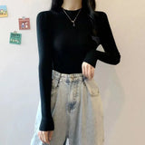 Turtleneck Sweater Winter Pullover Knitted Basic Top Elastic Fall Slim Ladies Jumper Casual Long Sleeve Female Sweater-Outfit