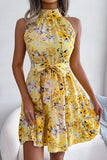 Tie Waist Ruffle Hem A-Line