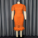 Elegant Style Lace Feathers High-Waist Skirt Plus-Size Party Banquet Dress Dress Elegant