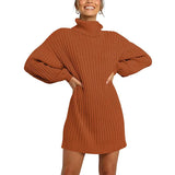 Toloer And Winter New Women's Turtleneck Medium Long Sweater Sweater