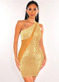 Sexy Sequins See Through Mesh One Shoulder Sleeveless Bodycon