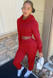Casual Plain Long Sleeve Crop Hoodie And Sweatpants Two Piece
