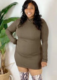 Plus Size Turtleneck Long Sleeve Bodycon