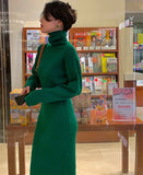 Turtleneck Women's Dress Long Sleeve Sweater Kintted Dresses Women High Waist Slim Autumn Winter Pullover Knitting Long Robe