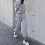Autumn Winter Two Piece Set For Women Tracksuit Harajuku Hooded Sweatshirt And Elastic Waist Long Pant 2021 Solid