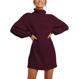 Toloer And Winter New Women's Turtleneck Medium Long Sweater Sweater