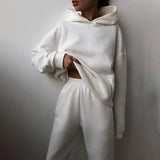 Autumn Winter Two Piece Set For Women Tracksuit Harajuku Hooded Sweatshirt And Elastic Waist Long Pant 2021 Solid