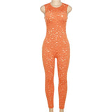 Mesh Two Piece Outfits Women Autumn Long Sleeve Top And Pants Matching Sets Female Casual