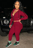 Hoodies with zipper long sleeve Crop Top and Pant