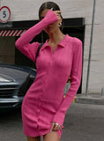 Casual Button Up Knit Long Sleeve Mini