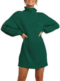 Toloer And Winter New Women's Turtleneck Medium Long Sweater Sweater