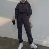 Hoodies Suit Winter Spring Solid Casual Tracksuit Women Fleece 2 Pieces Set Sports Sweatshirts Pullover Home Sweatpants