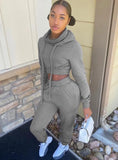 Casual Plain Long Sleeve Crop Hoodie And Sweatpants Two Piece