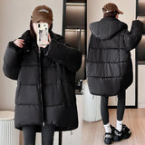 2024 Winter New Korean Department Is Simple And Versatile Casual Loose Small Thick Warm Hooded Padded Coat-Outfit