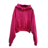 Hoodies Suit Winter Spring Solid Casual Tracksuit Women Fleece 2 Pieces Set Sports Sweatshirts Pullover Home Sweatpants