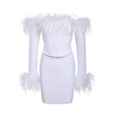 Dress 2025 New Shoulder Long-Sleeved Feather Dress For
