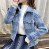 Mink Like Coat 2021 New Korean Women's Top Small Autumn And Winter Foreign Style Short