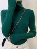 Turtleneck Women Sweaters Autumn Winter Tops Slim Pullover Knitted Sweater Soft Warm Pull Basic For Women Jumper