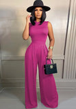 Sexy Sleeveless Top And Wide Pant 2 Piece