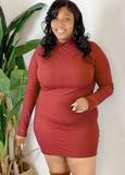 Plus Size Turtleneck Long Sleeve Bodycon