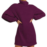 Toloer And Winter New Women's Turtleneck Medium Long Sweater Sweater