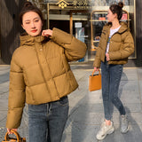 Down Cotton Clothes Women's Short Style 2024 Winter New Thickened Loose Stand Collar Bread Clothing Cotton-Padded Clothes Small Coat Tide-Outfit