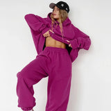 Y2K Plus Velvet Knit Suit Women Long Sleeve O Neck Hoodie With Hat Casual Loose Harem Pants 2 Piece Set Sportweaar 2021