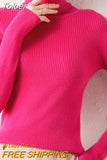 Turtleneck Women Sweaters Autumn Winter Tops Slim Pullover Knitted Sweater Soft Warm Pull Basic For Women Jumper