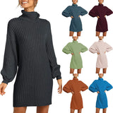Toloer And Winter New Women's Turtleneck Medium Long Sweater Sweater