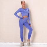 Sportwear Sports Set Seamless Gym Set Crop Top Bra Elastic High Waist Booty Pant Workout Outfit Fitness Set Gym