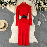 Autumn Winter Women Knitted Dress Turtleneck Sweater Dresses Lady Slim Bodycon Long Sleeve Bottoming Dress