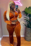Casual Crop Top And Pants 2 Piece Velvet