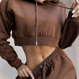 Autumn Winter Two Piece Set For Women Tracksuit Harajuku Hooded Sweatshirt And Elastic Waist Long Pant 2021 Solid
