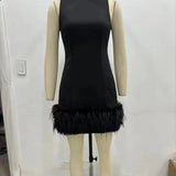 Sense A Dress 2025 Autumn New Standing Collar Sleeveless Solid Color Feathers Spliced Dress Dress