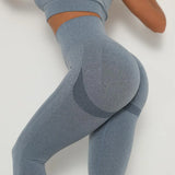 Waist Vital Seamless Gym Short Pants Fit Cycling Workout Gym LegLeggings for Women Push Up Seamless Jeggings Biker