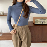 Turtleneck Women Sweaters Autumn Winter Tops Slim Pullover Knitted Sweater Soft Warm Pull Basic For Women Jumper