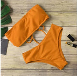 Bikini Swimsuit Lady With Bikini High
