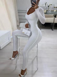 Sexy Long Sleeve Basic