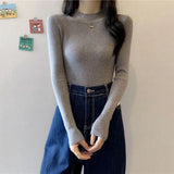 Turtleneck Sweater Winter Pullover Knitted Basic Top Elastic Fall Slim Ladies Jumper Casual Long Sleeve Female Sweater-Outfit