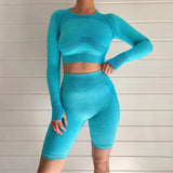 Seamless Set Woman Sportswear 2 Pieces Long Sleeve Shirts Gym Shorts Female Summer Autumn Leggings Fitness Sports