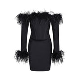 Dress 2025 New Shoulder Long-Sleeved Feather Dress For
