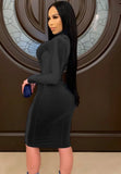 Sexy Velvet Mesh Patch High Neck Long Sleeve Bodycon