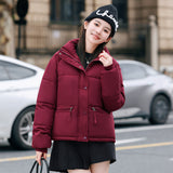 New Style Down Cotton Jacket Women's Winter Jacket-Outfit