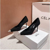 With Skirt Single Shoes Black Pointed High Heels Female Fine Heel 2025 Summer Season New Temperament